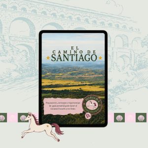 El Camino de Santiago